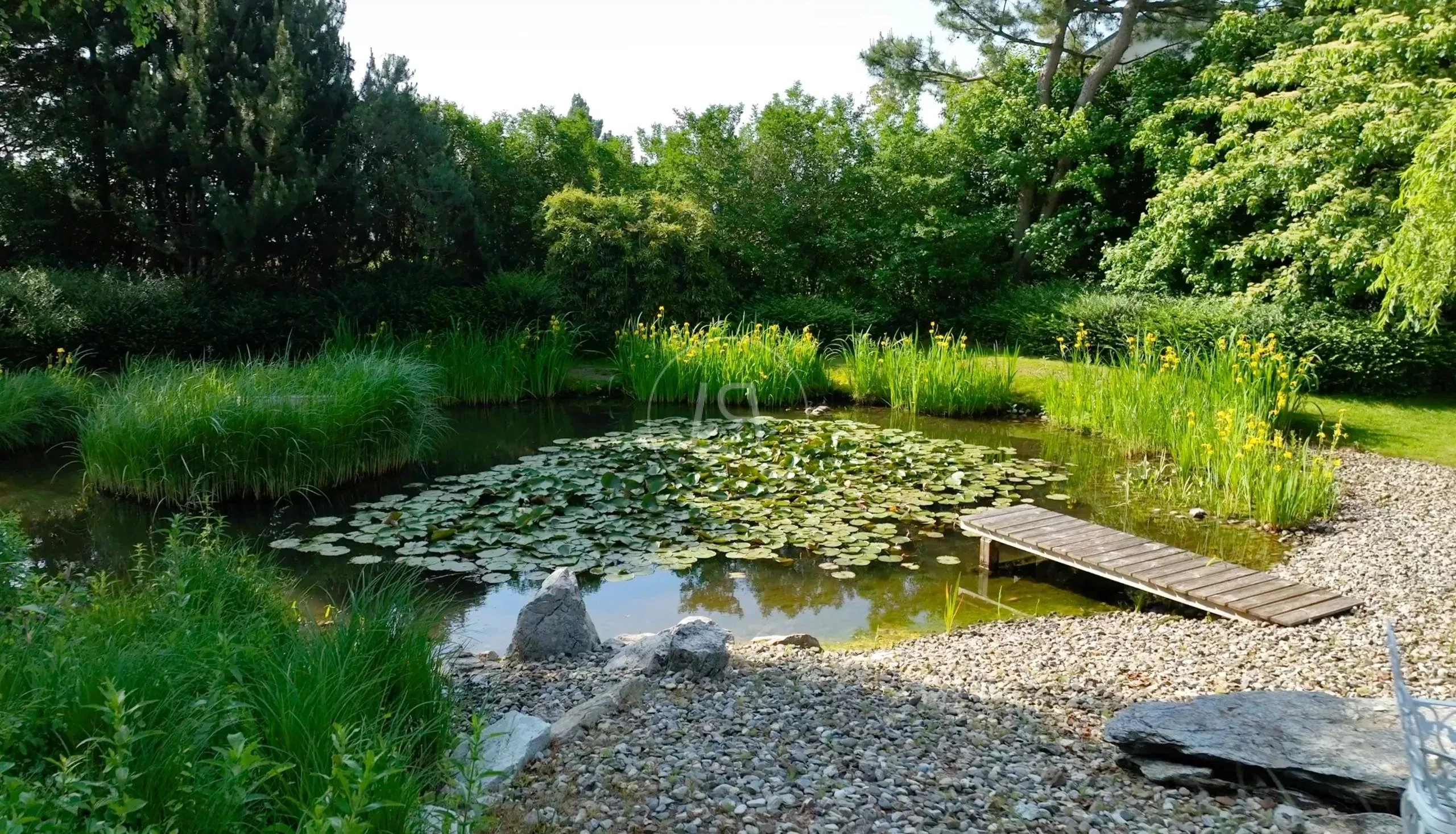 Naturnaher Gartenteich mit Steg