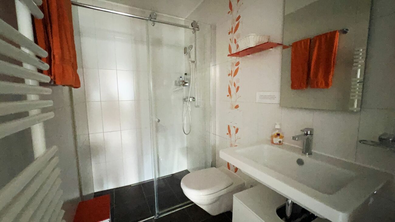 Modernes Badezimmer mit Dusche und Waschtisch