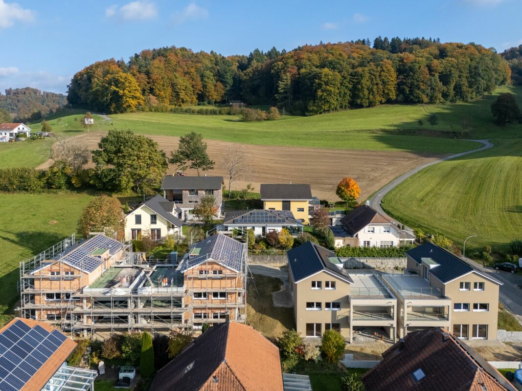 Luftaufnahme eines Wohngebiets im Grünen
