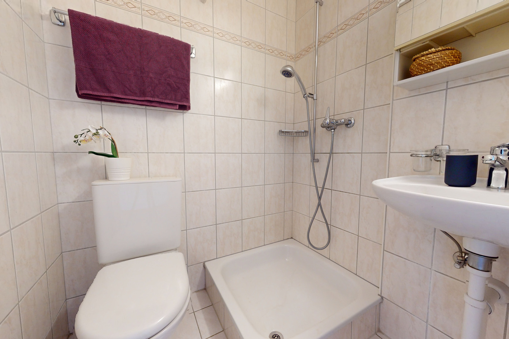Kleines Badezimmer mit Dusche und WC