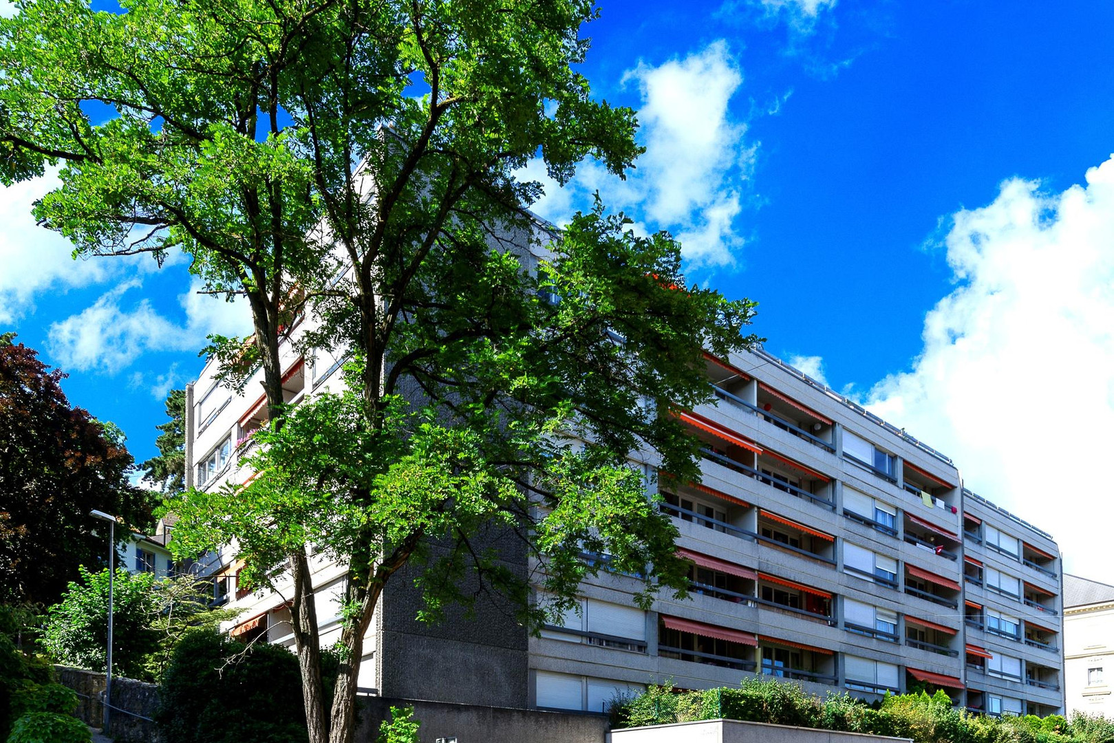 Mehrfamilienhaus mit Balkonen und Bäumen