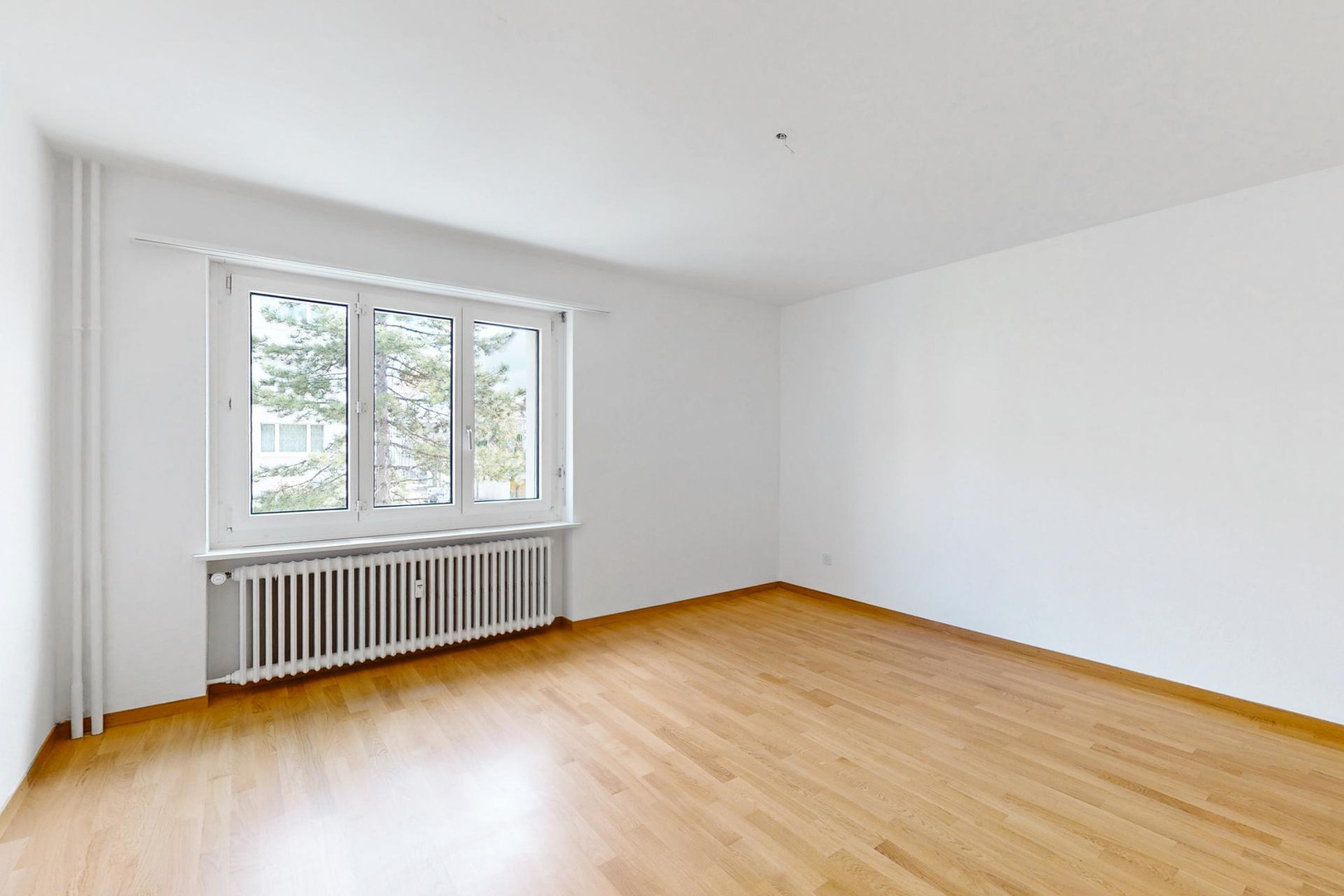 Leerer heller Wohnraum