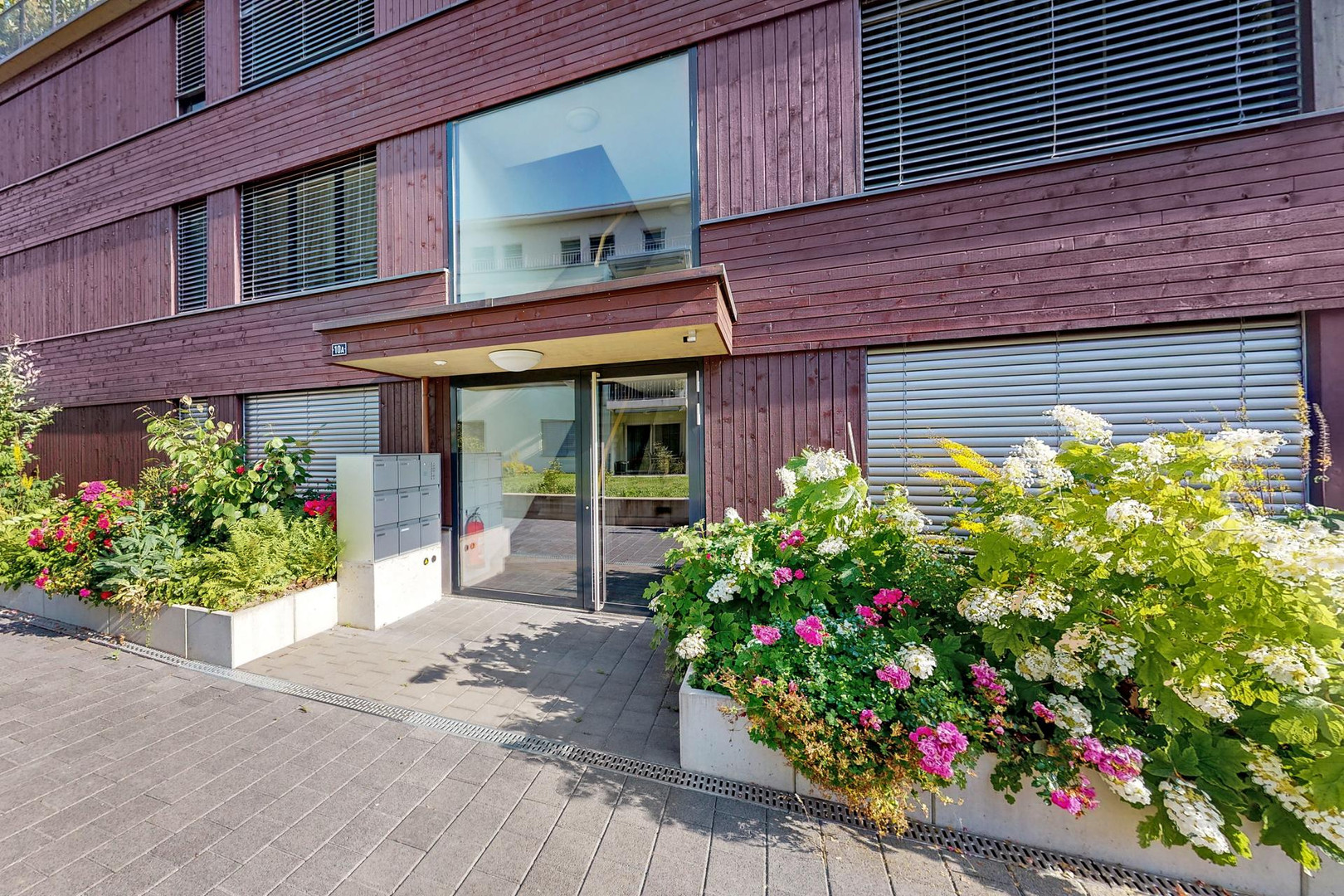 Moderne Wohnhausfassade mit Eingang und Blumenkübeln