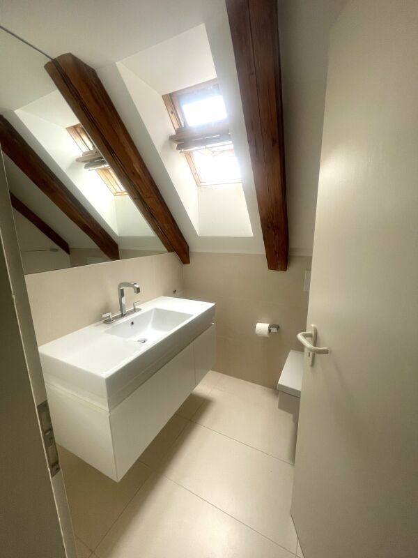 Kleines Dachgeschoss-Gäste-WC mit Dachfenstern