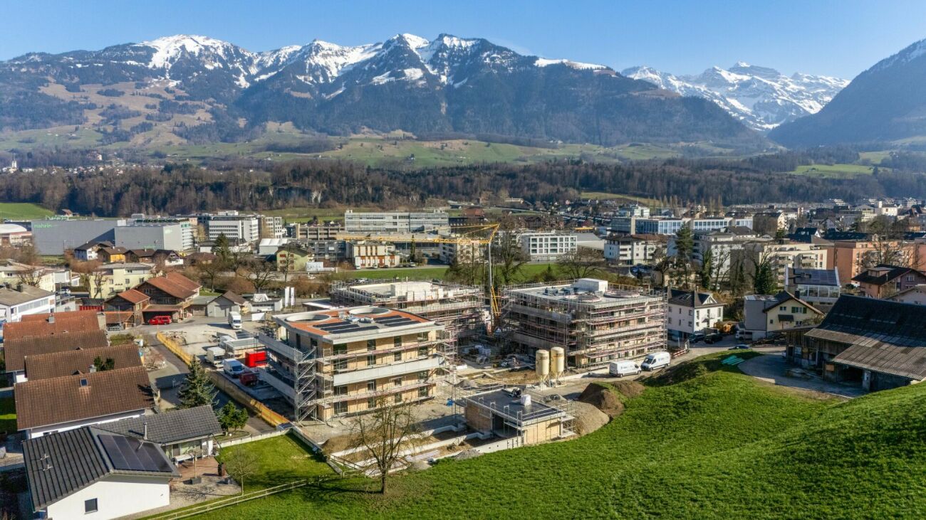 Städtische Panoramaaufnahme mit Bergen und Baustelle