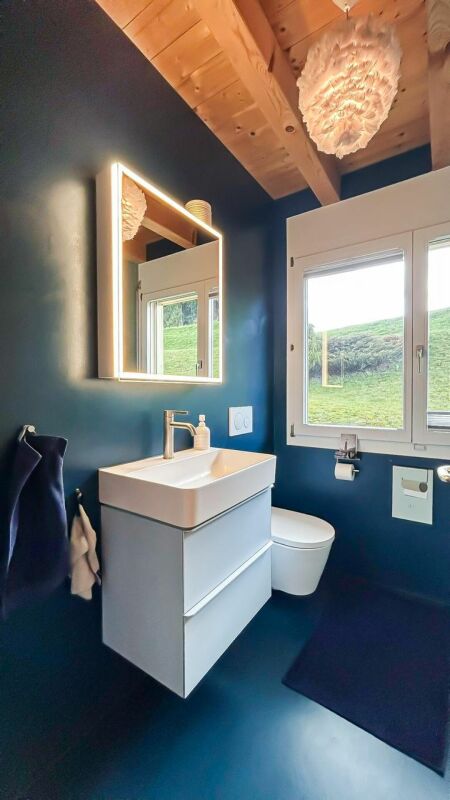 Modernes Gäste-WC mit dunklen Wänden und Holzdecke