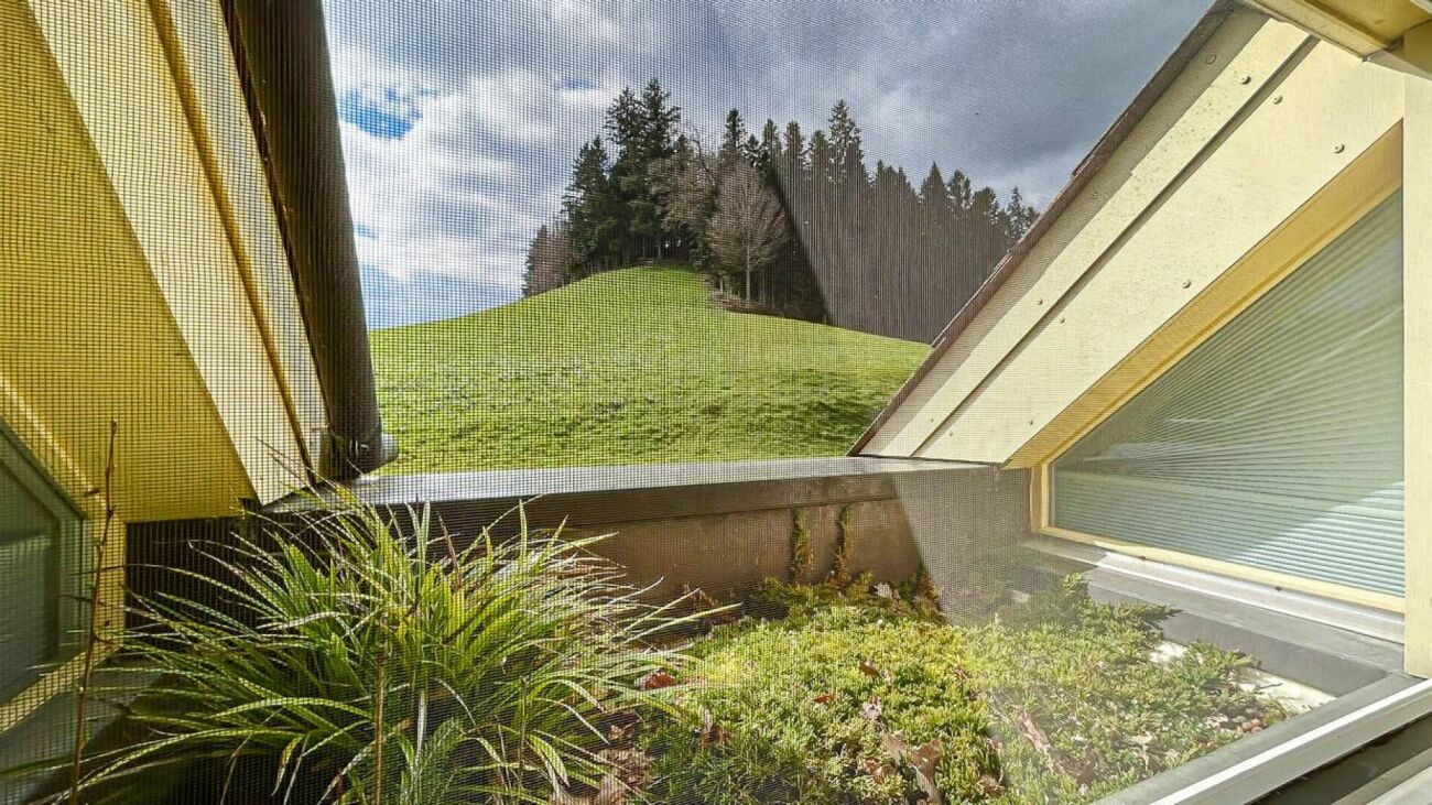 Dachfensterblick auf grüne Hügellandschaft