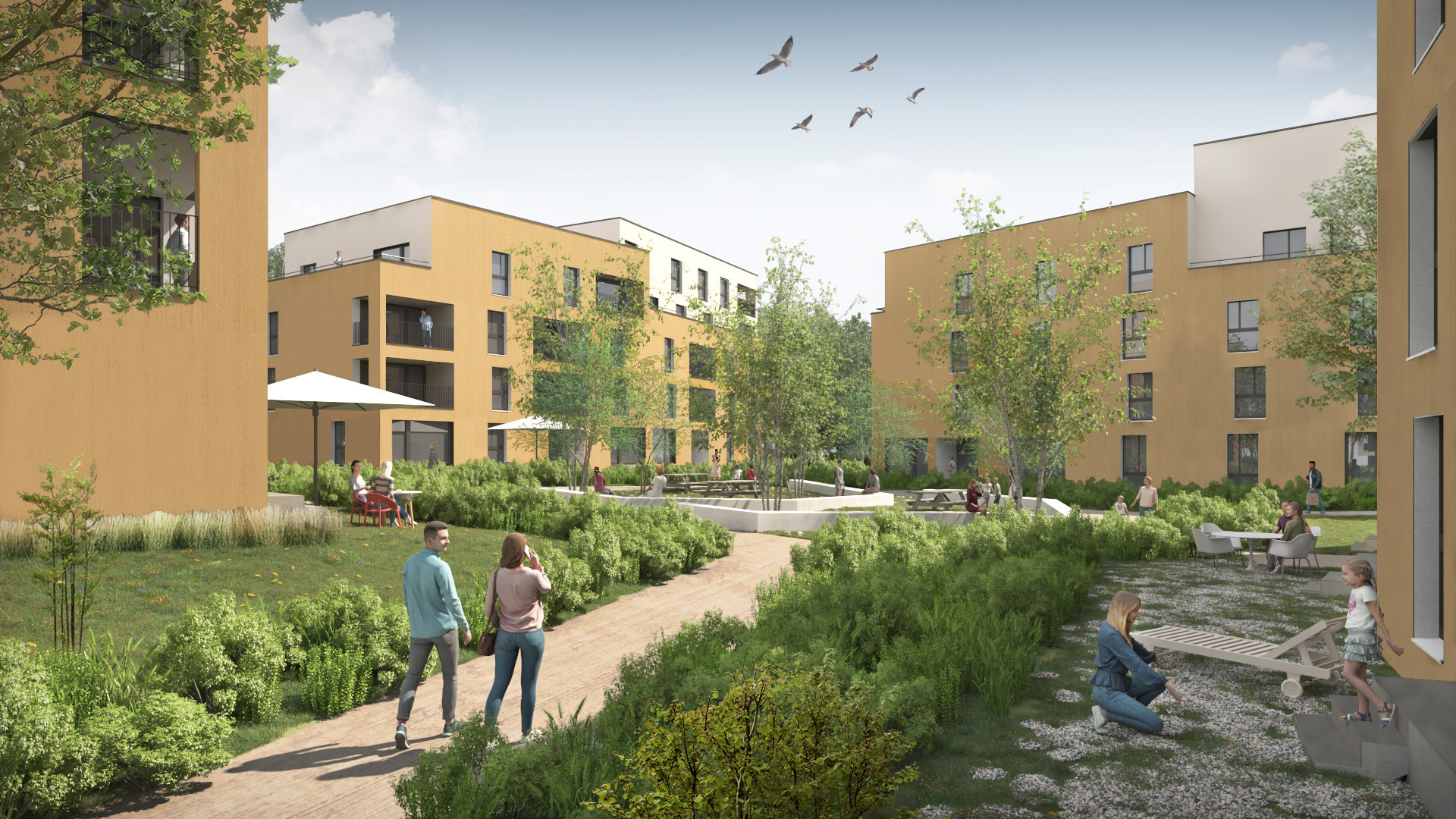 Moderner grüner Innenhof eines Wohnquartiers