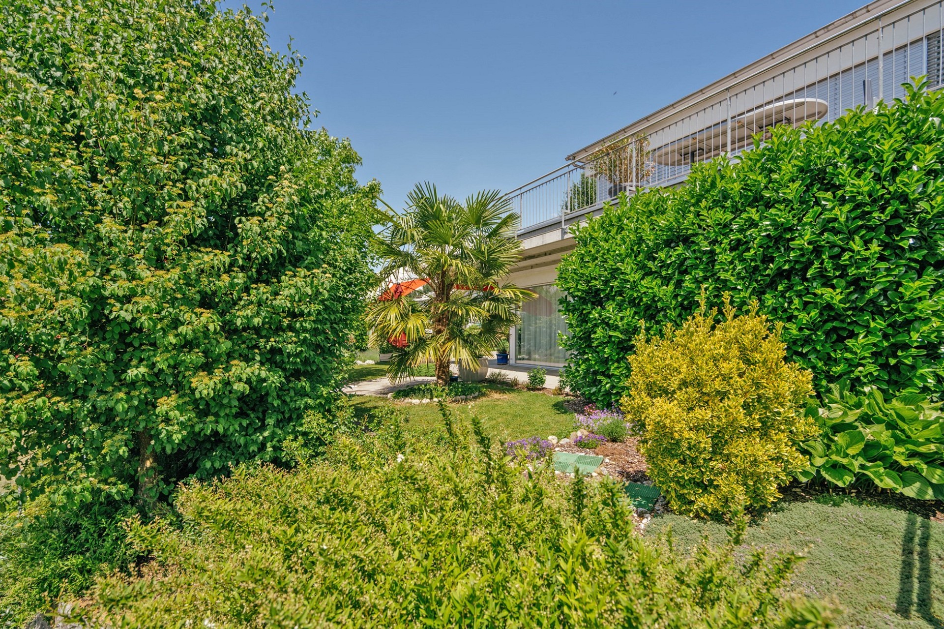 Grüner Garten mit moderner Terrasse