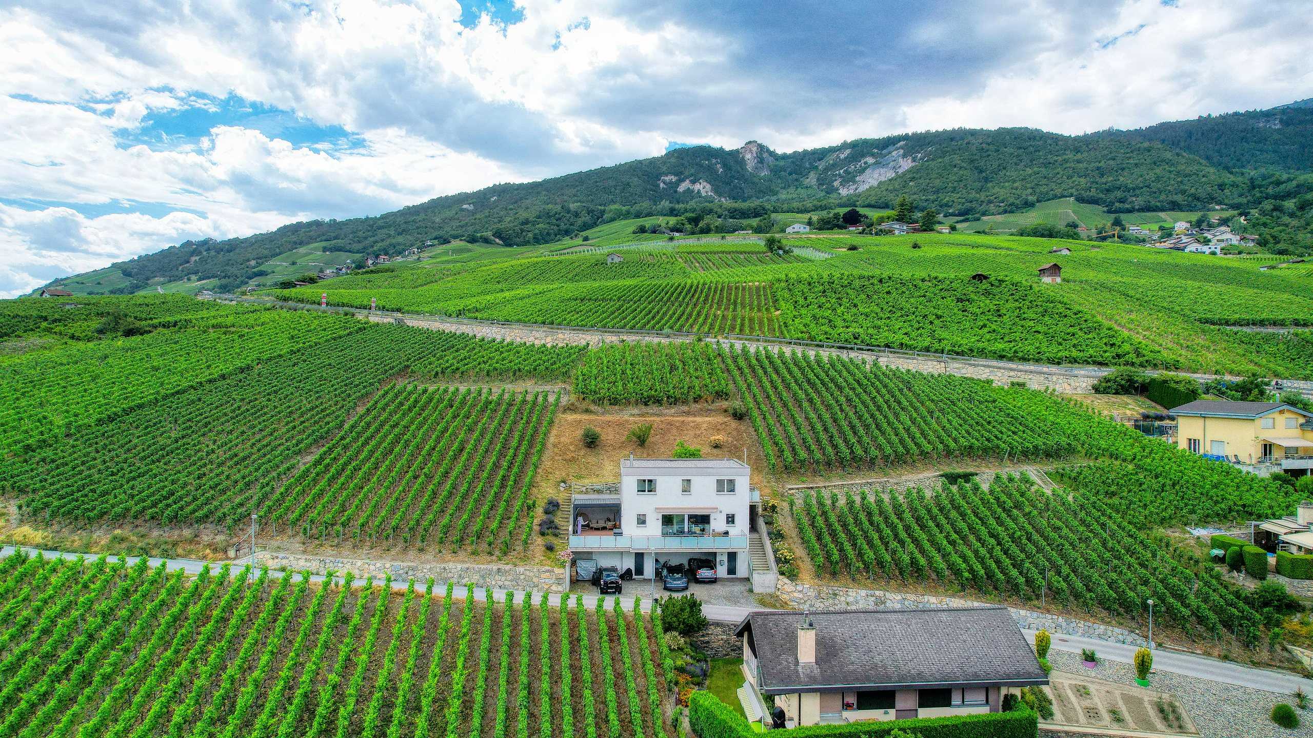 Weinberglandschaft mit Wohnhaus