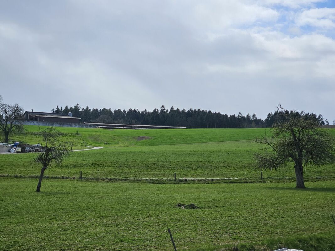 Landschaft mit Gebäude in der Ferne