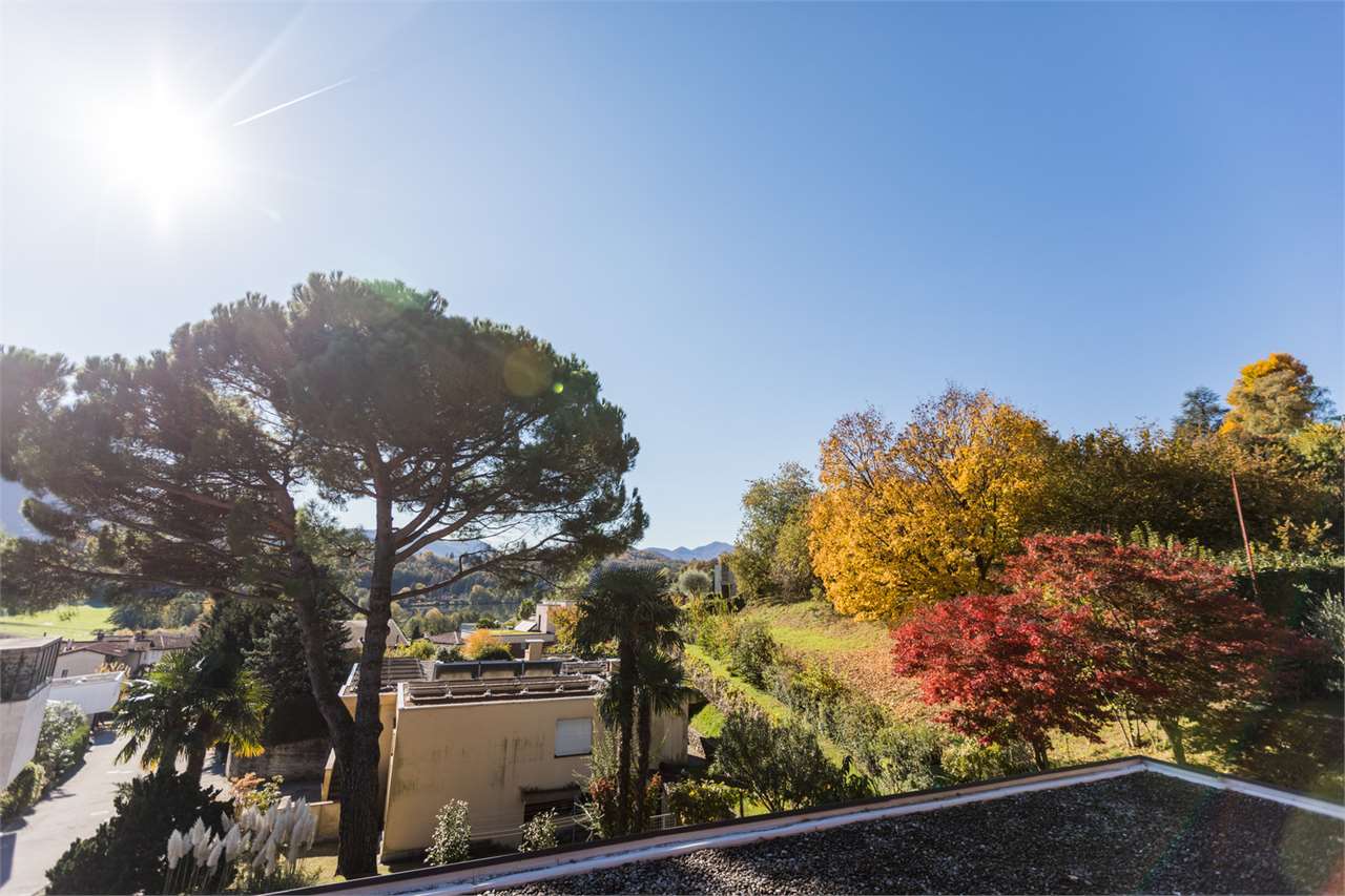 Garten- und Landschaftsausblick bei Sonnenlicht