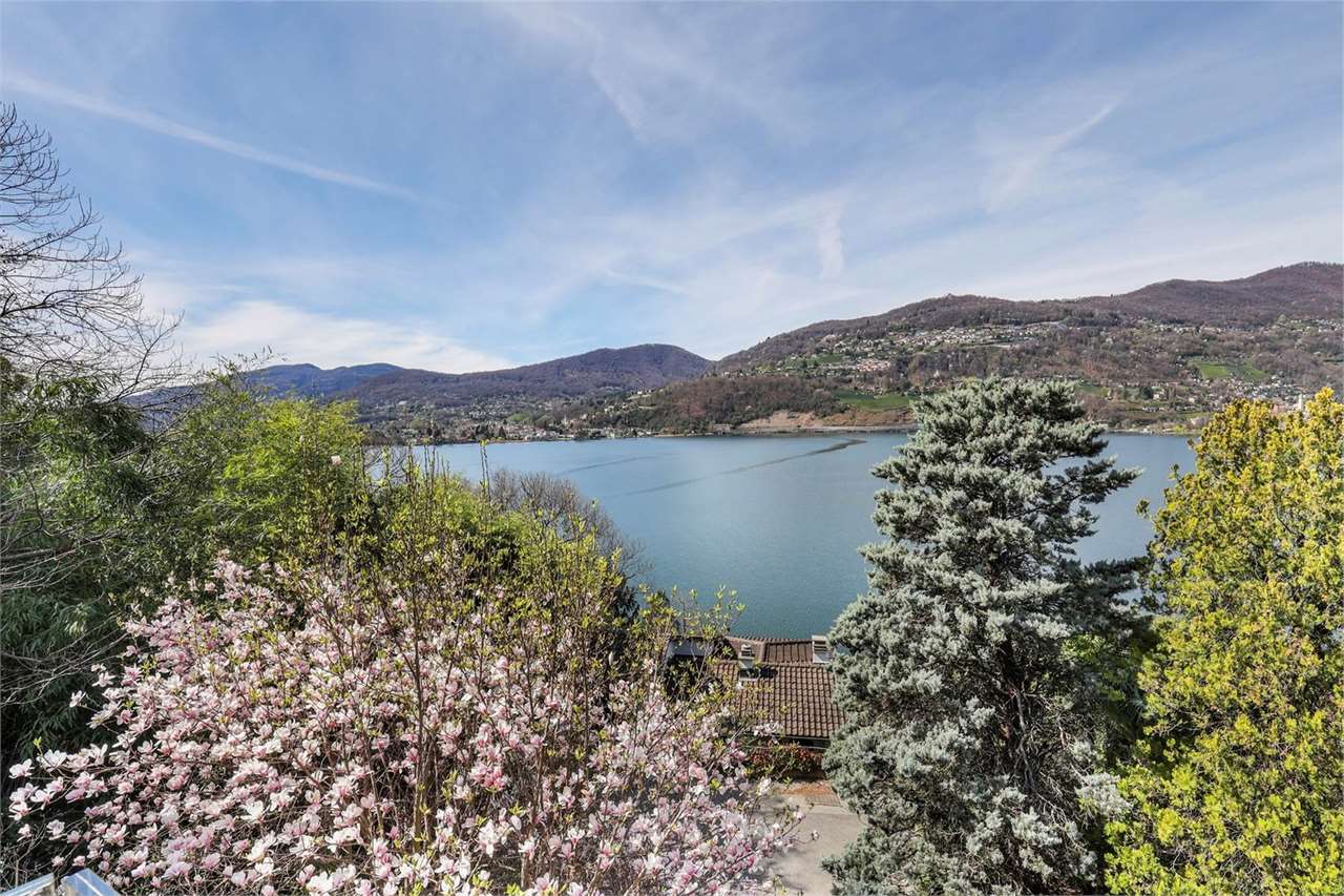 Seeblick mit Bergen und Bäumen
