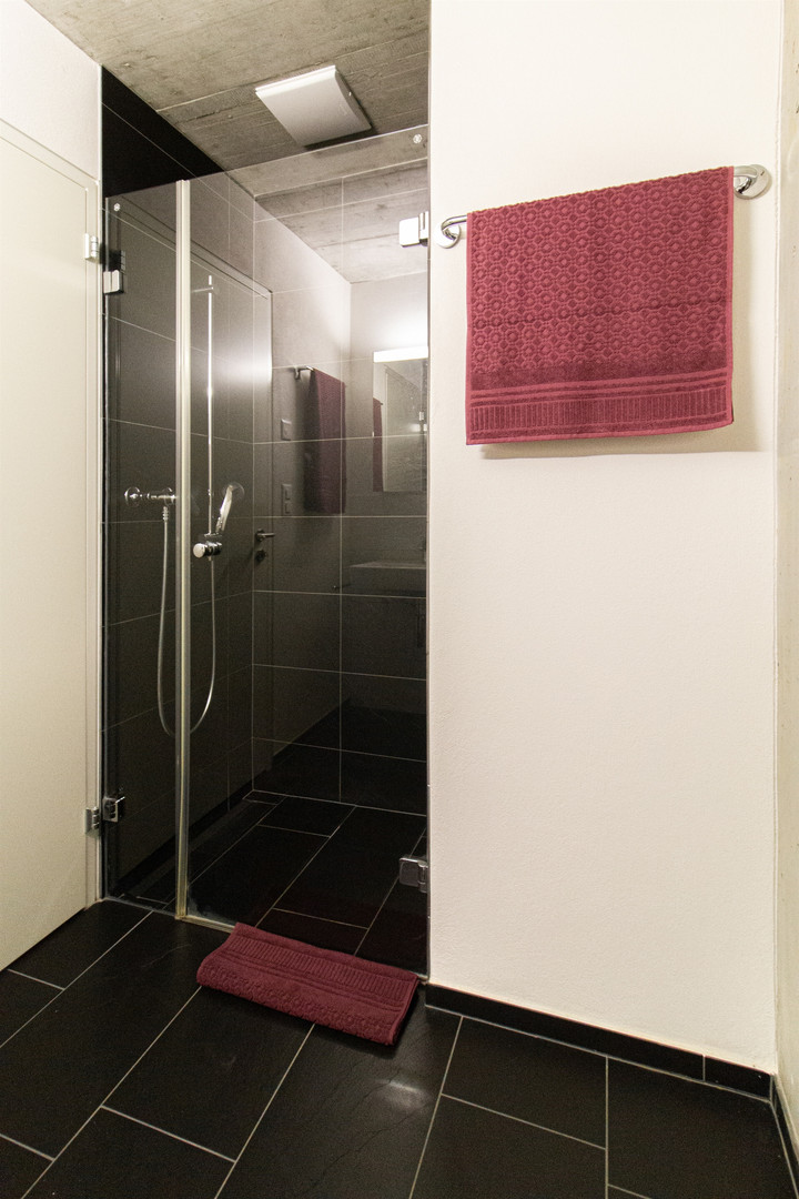 Modernes Badezimmer mit dunkler Glasdusche