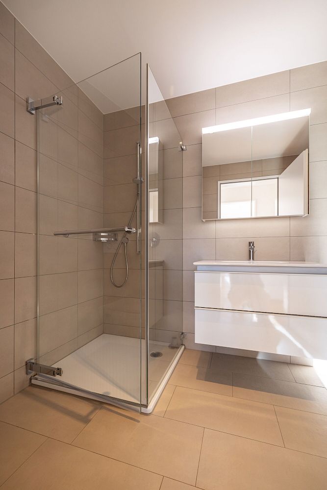 Modernes Badezimmer mit Walk-in-Dusche und Waschtisch