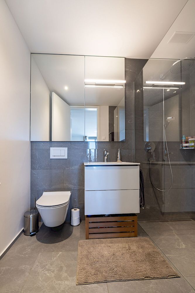 Modernes Badezimmer mit Dusche und Waschtisch