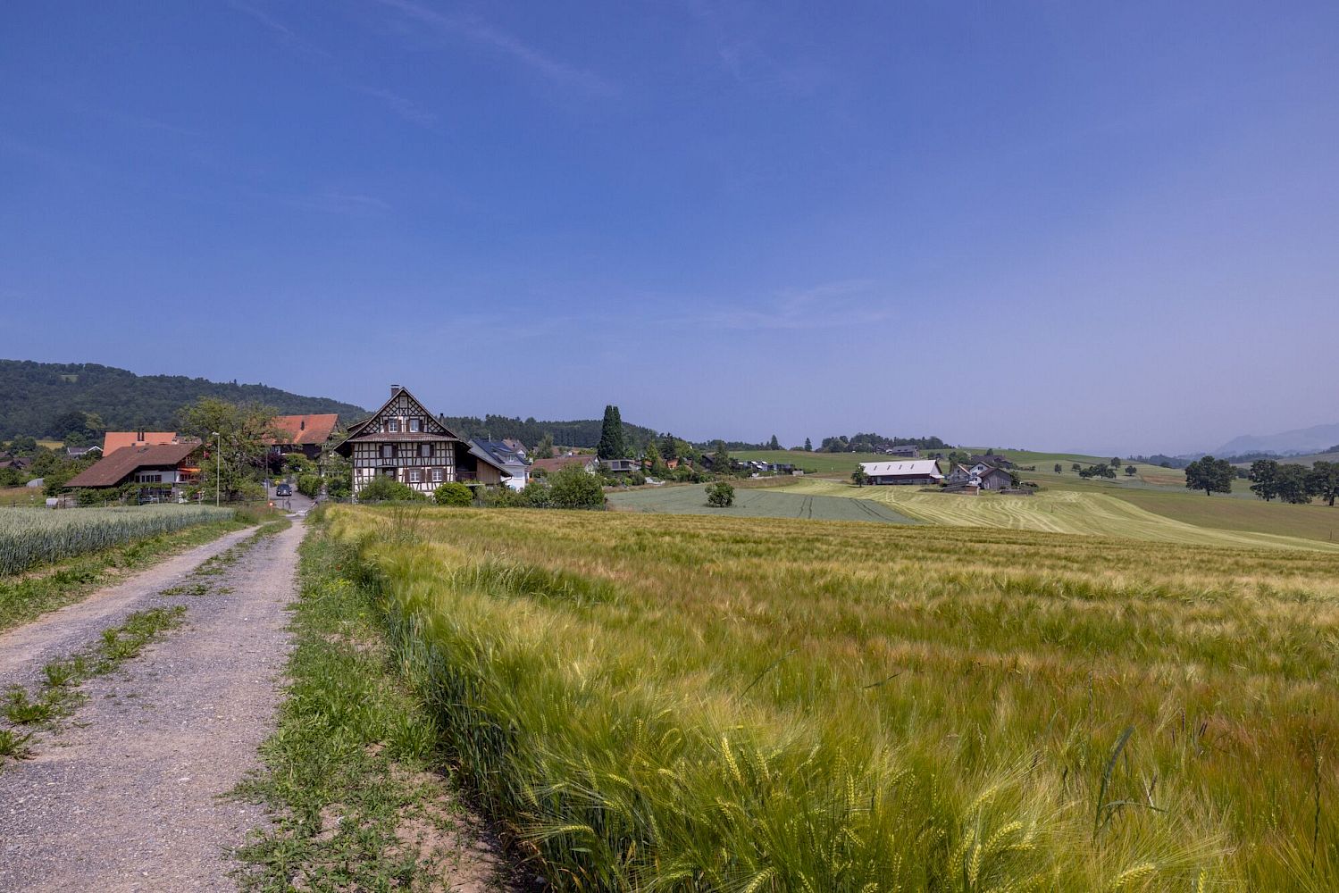 Ländliche Landschaft mit Hof und Feldern
