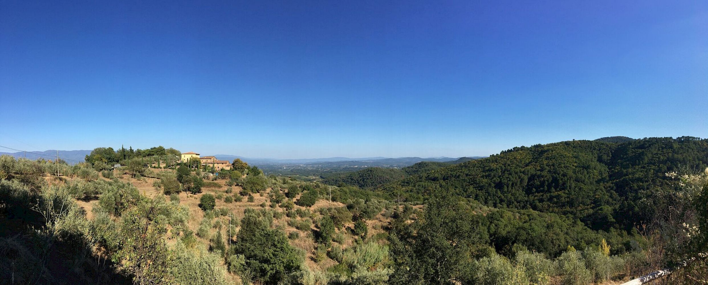 Landschafts- und Panoramablick über bewaldete Hügel