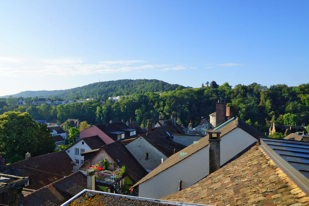 Dachblick über Wohnhäuser und grüne Hügel
