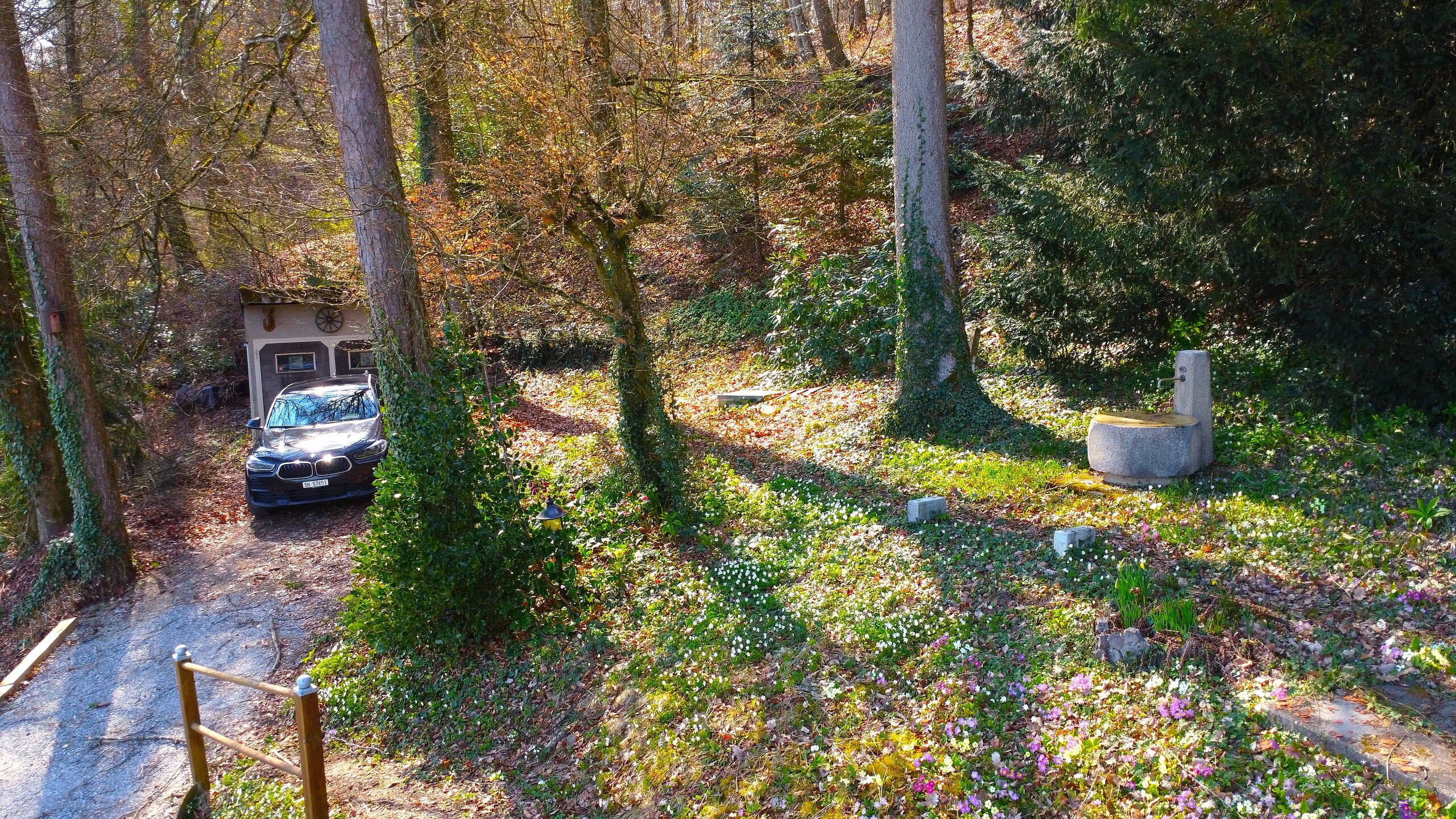 Waldgrundstück mit Zufahrt und Brunnen