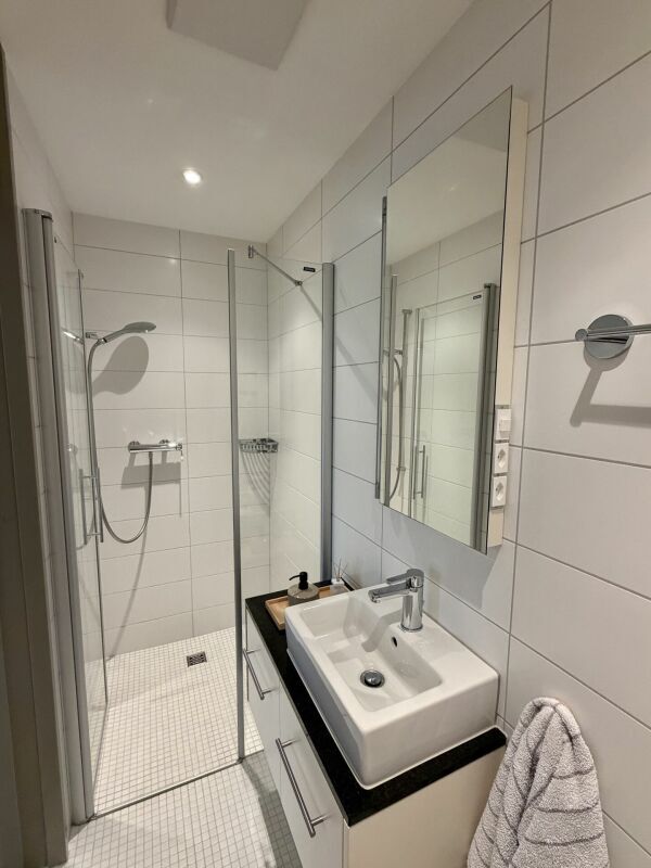 Modernes Bad mit Dusche und Waschtisch