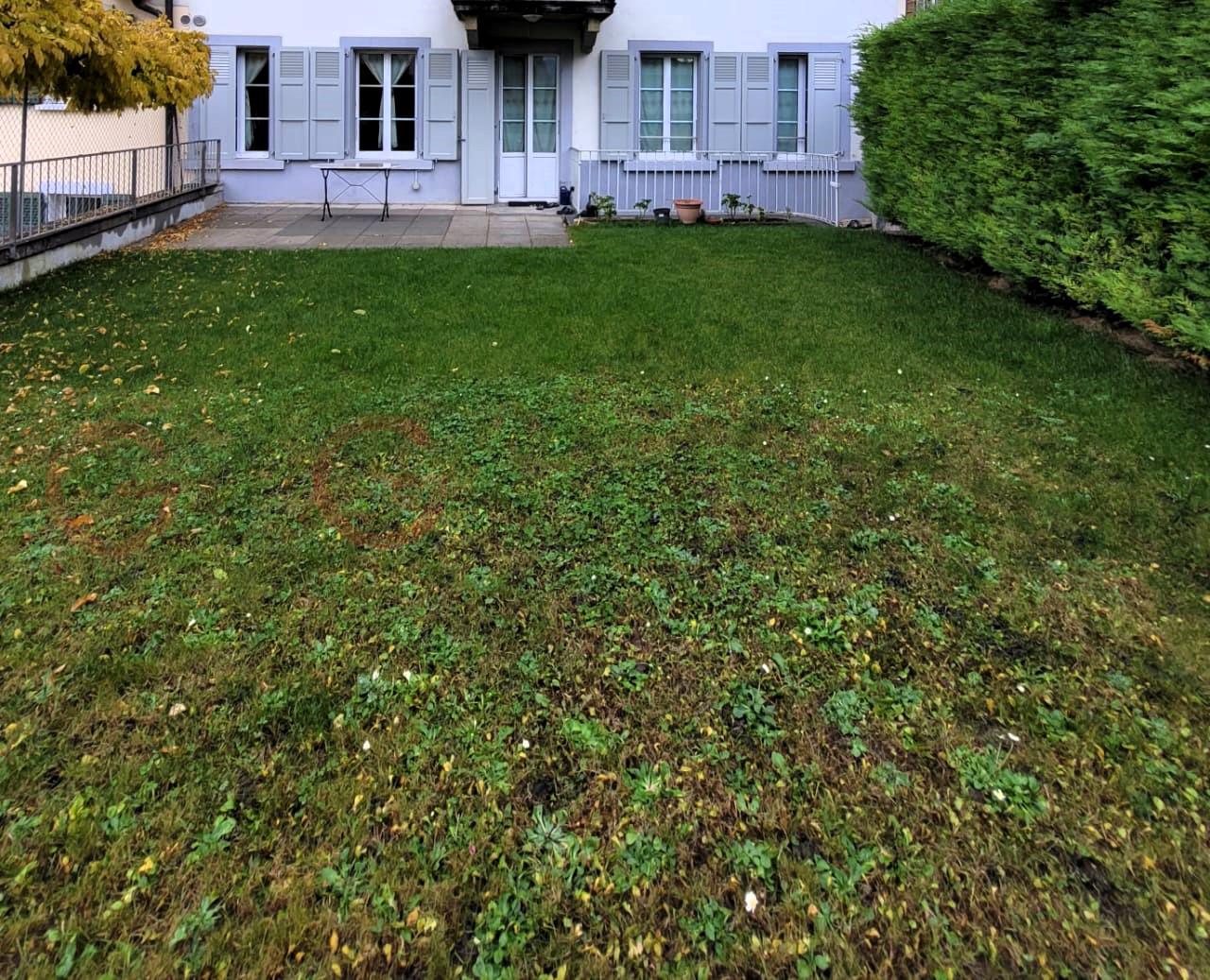 Hausgarten mit Terrasse und Fassade