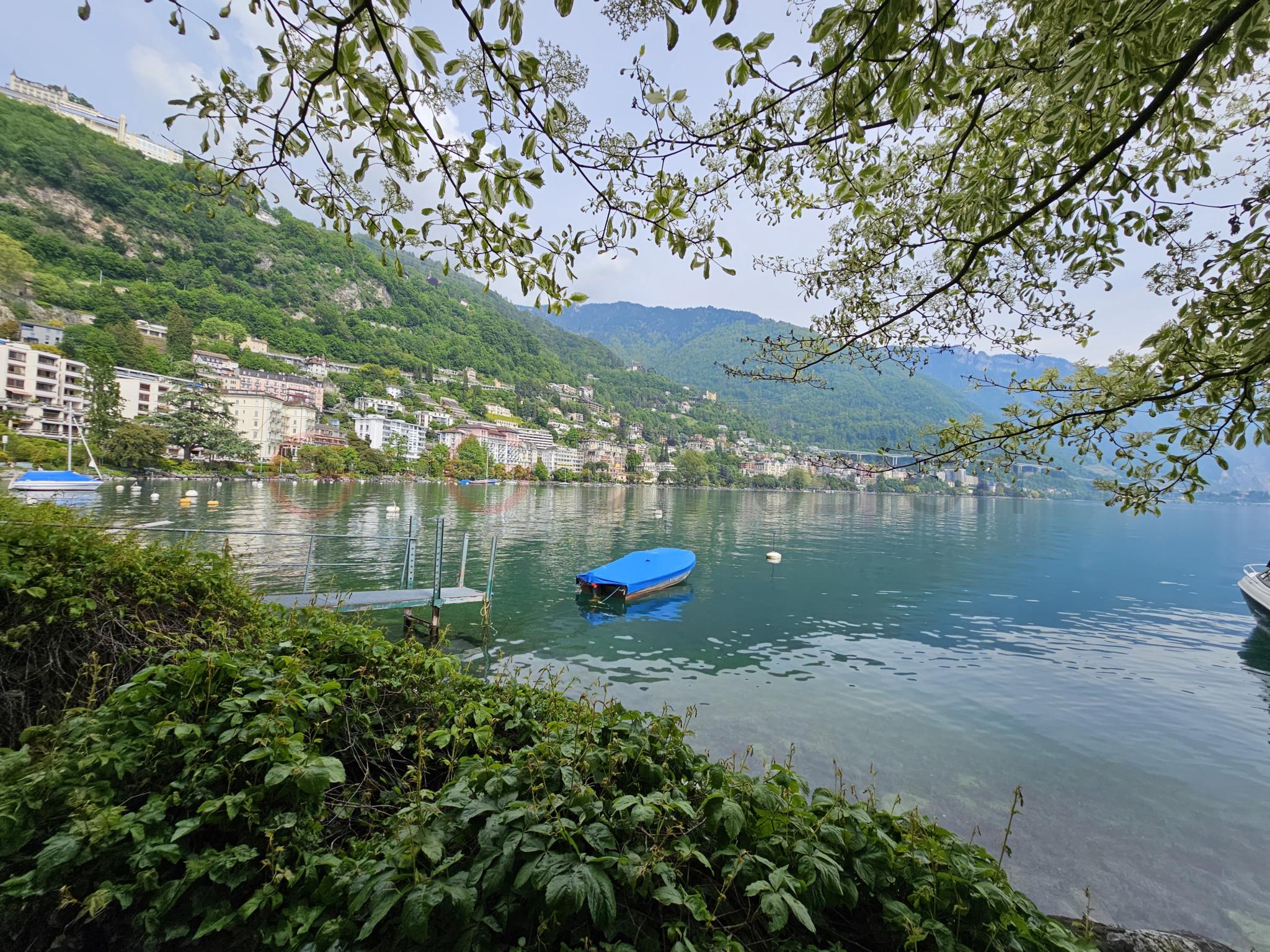 See- und Berglandschaft mit Uferbepflanzung