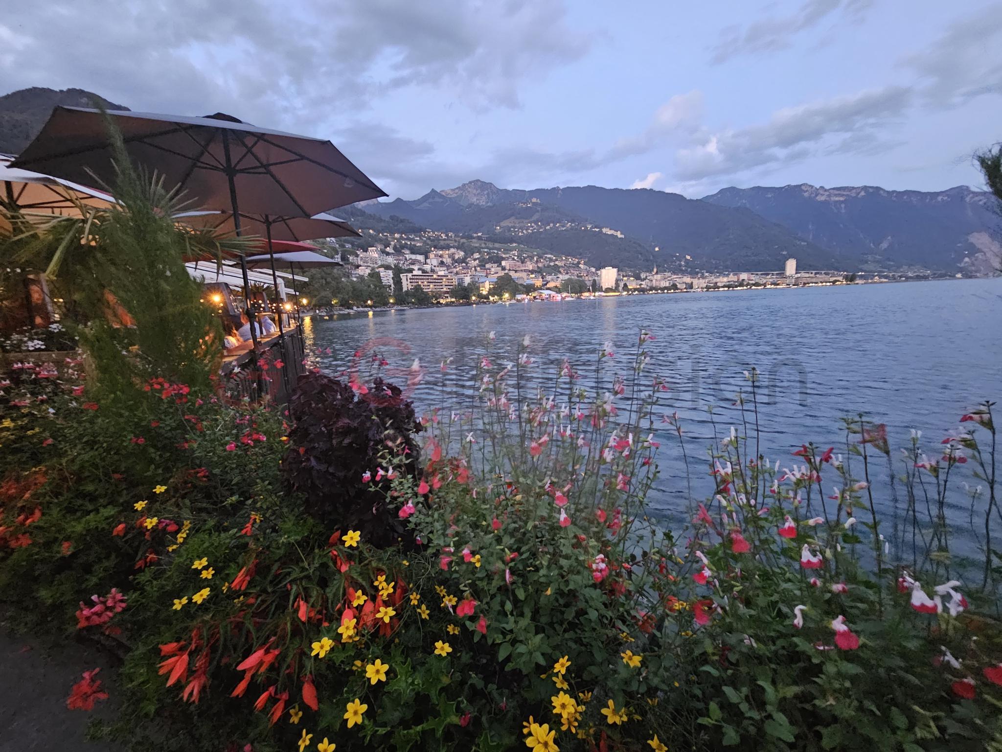 Seeblick bei Abenddämmerung mit Blumenrabatte und Terrassenschirmen