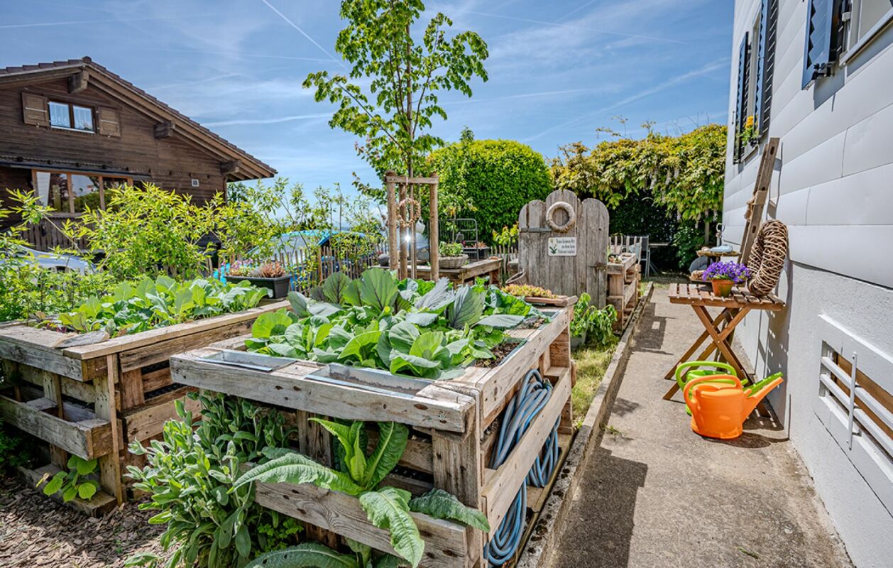 Garten mit Hochbeeten und Seitengang