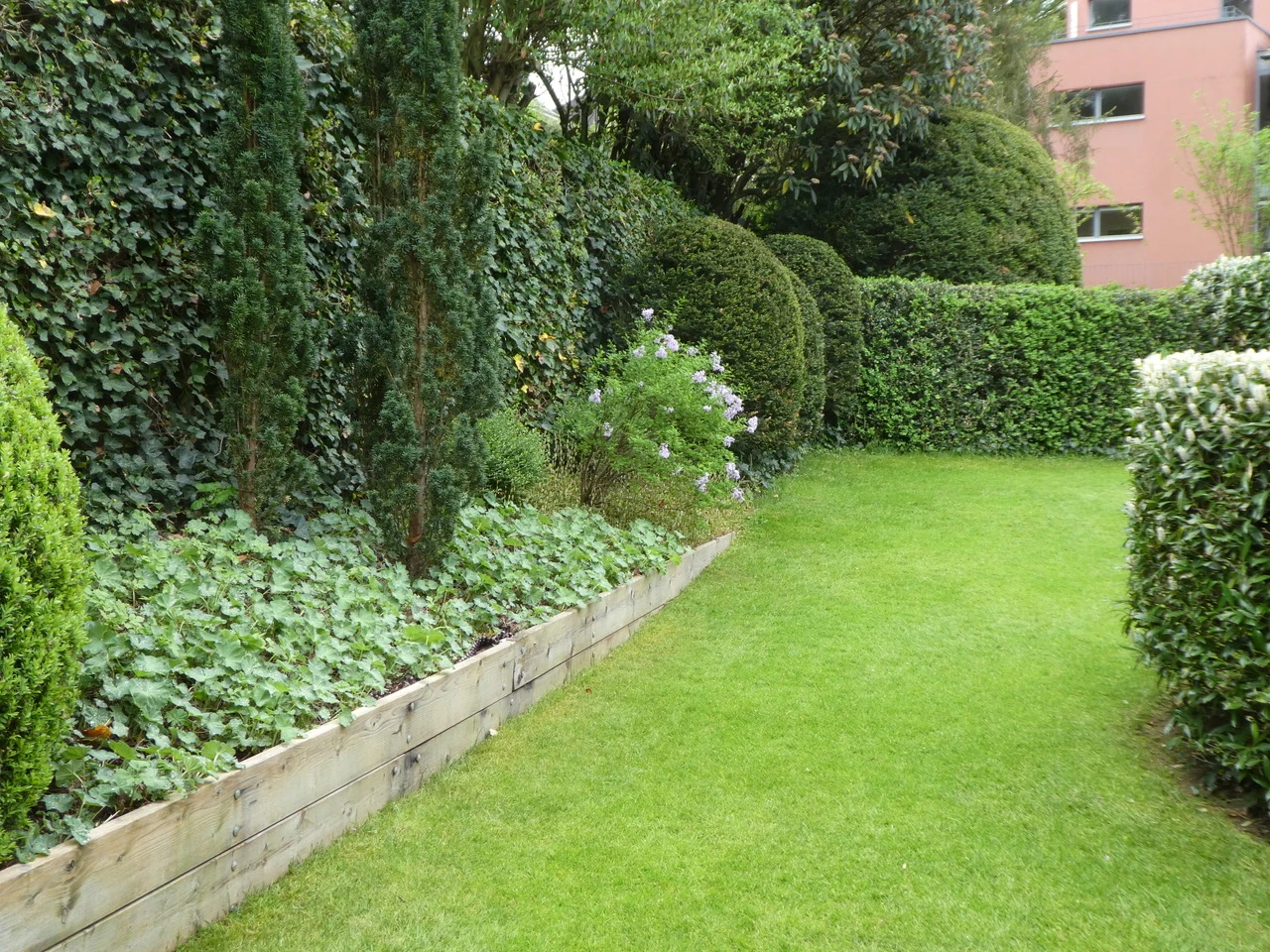Gepflegter Garten mit Rasen und Hecken