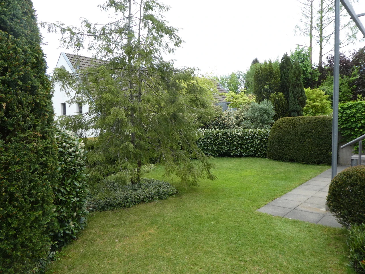 Gepflegter Garten mit Rasen und Hecken