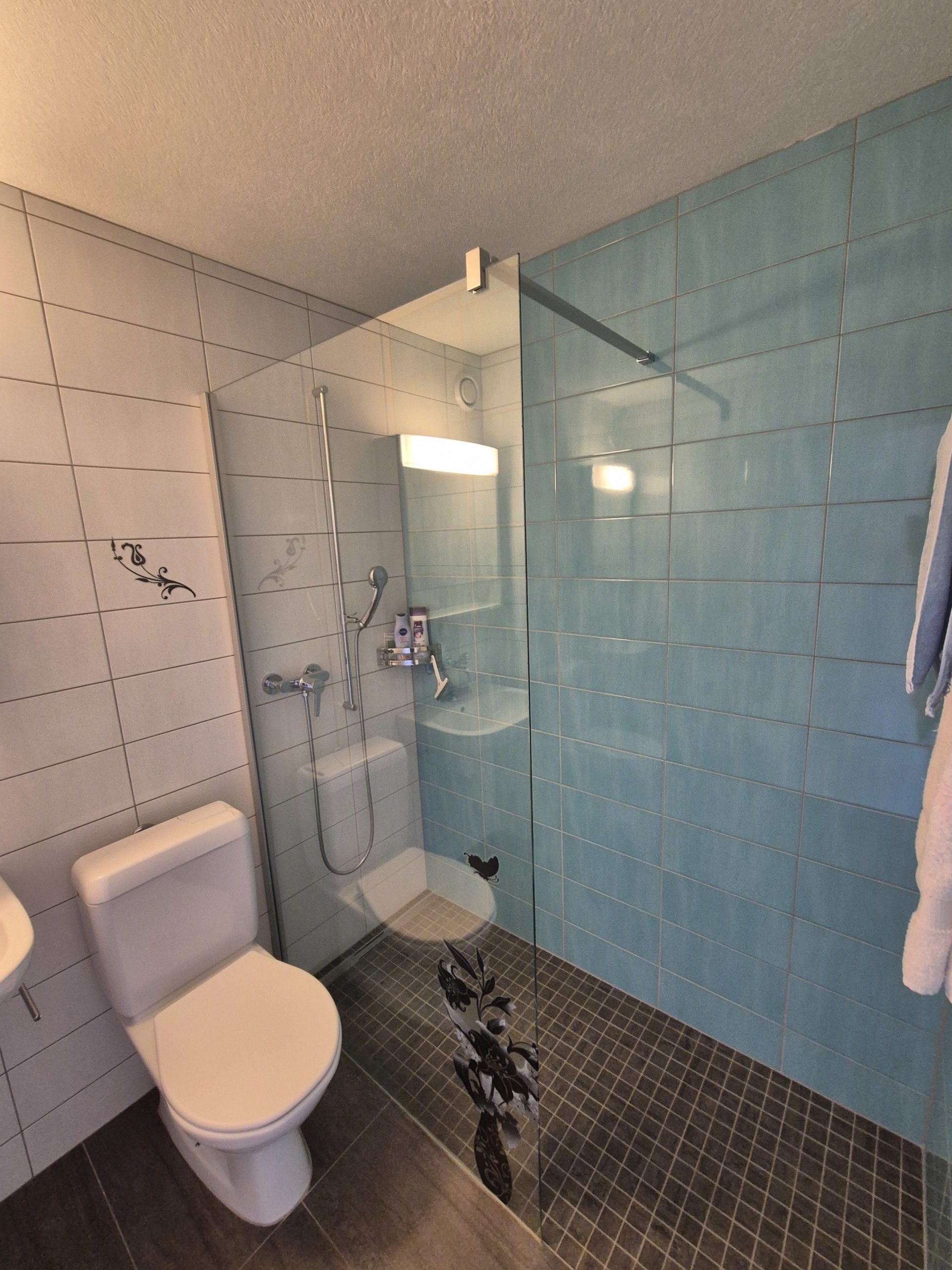 Badezimmer mit Dusche und WC