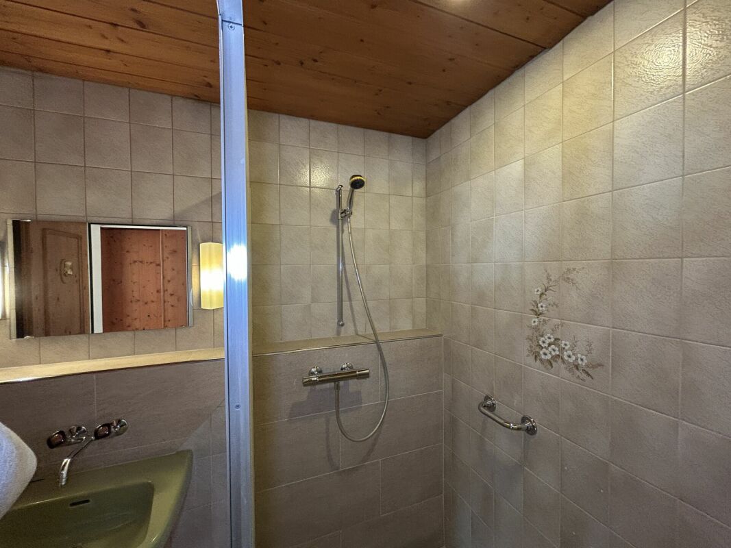 Badezimmer mit Dusche und Holzdecke