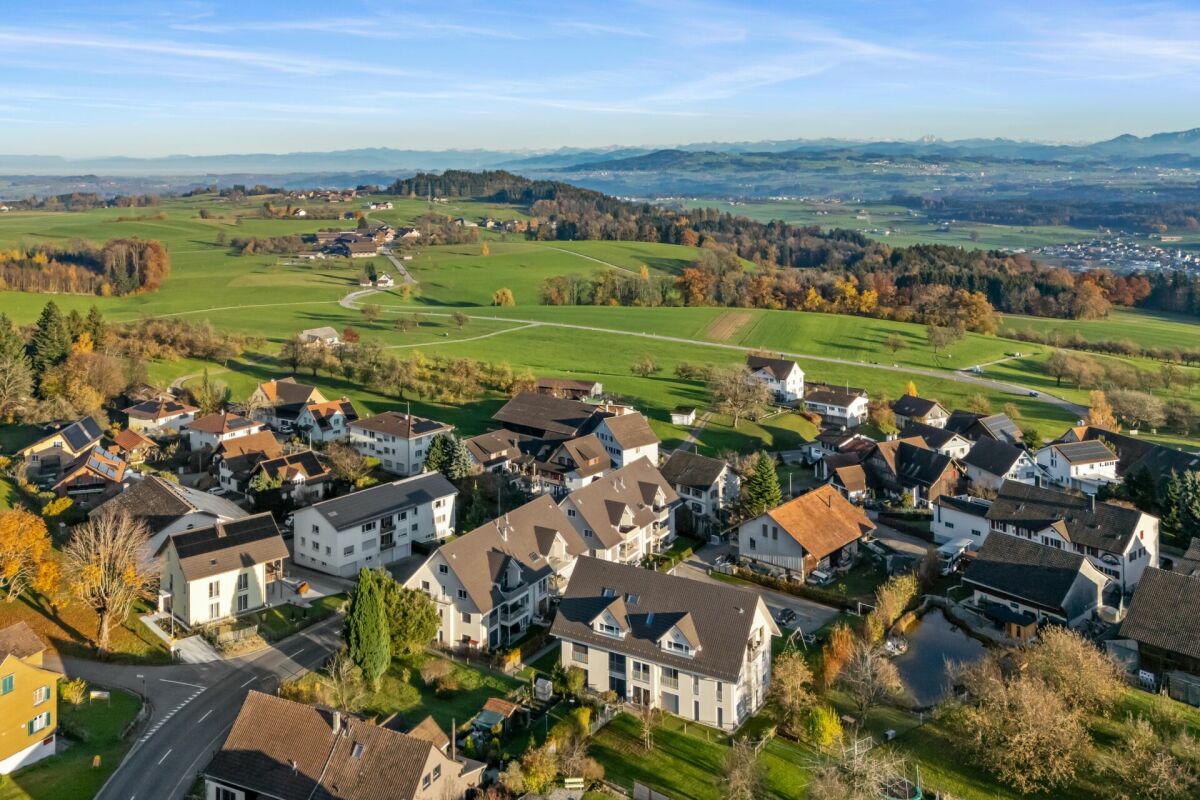Luftaufnahme eines Wohngebiets mit Alpenpanorama