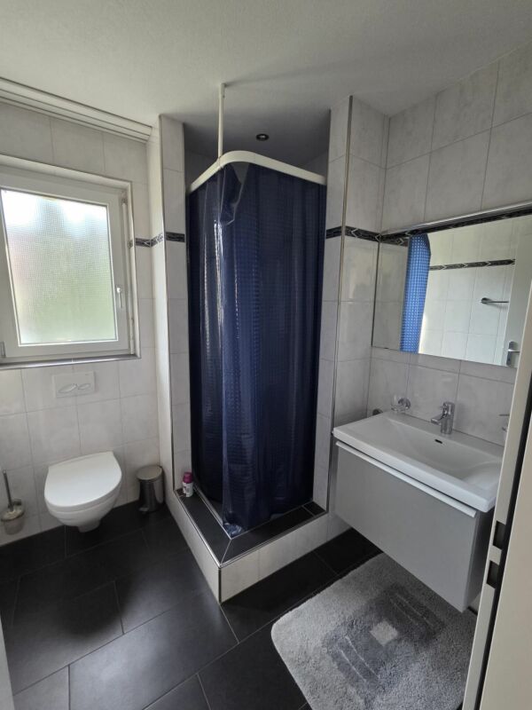 Modernes Bad mit Dusche und Wand-WC