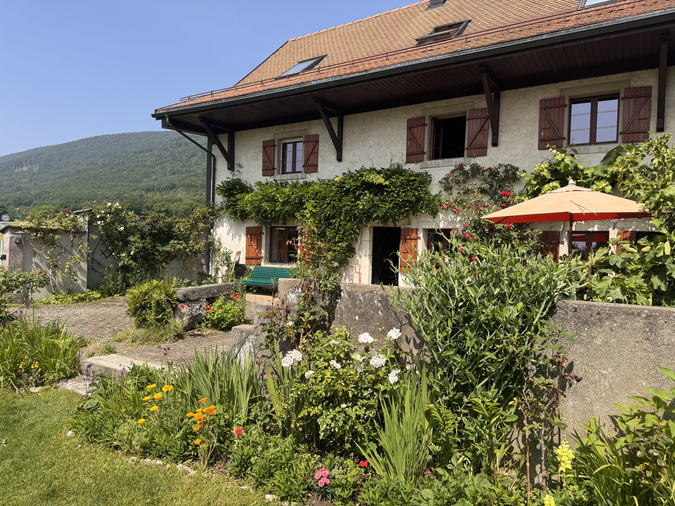 Landhaus mit Bergblick und üppigem Garten