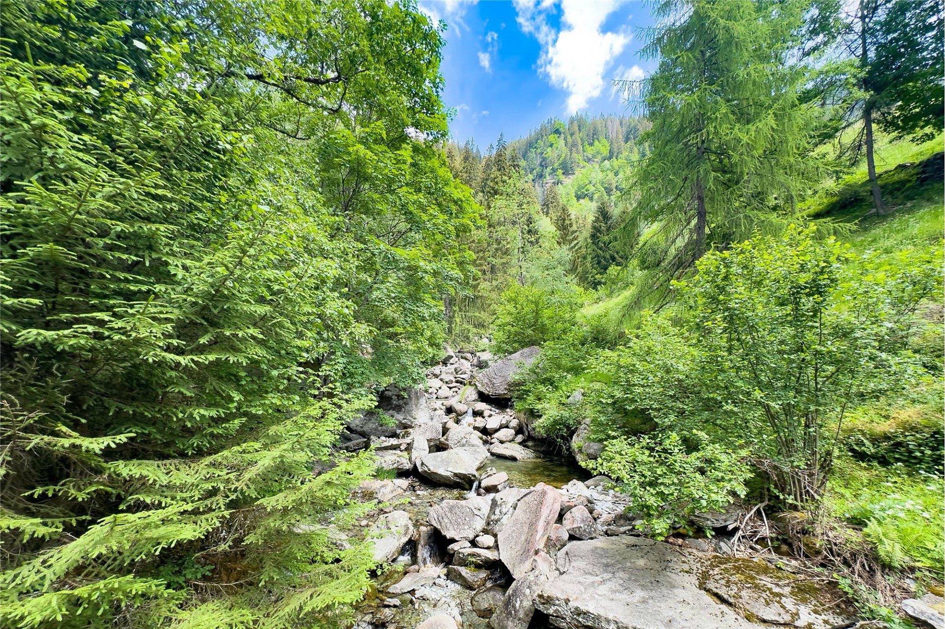 Alpiner Bachlauf im Wald