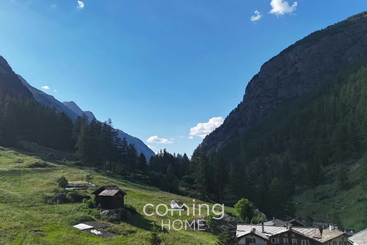 Alpine Landschaft mit Tal und Berghängen