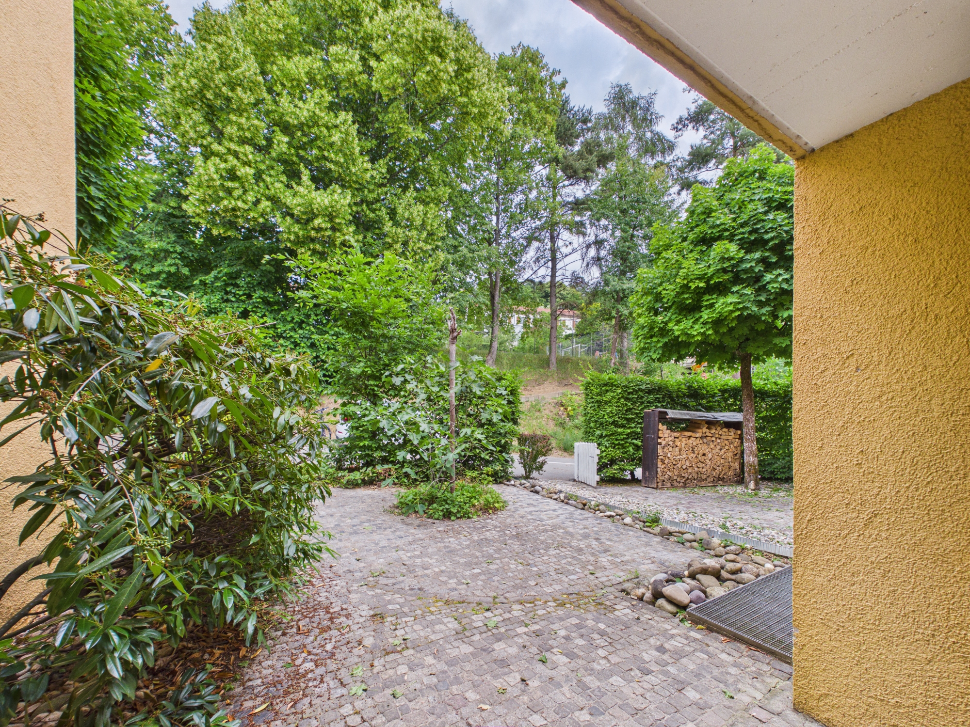 Blick in einen grünen Garten mit gepflasterter Zufahrt
