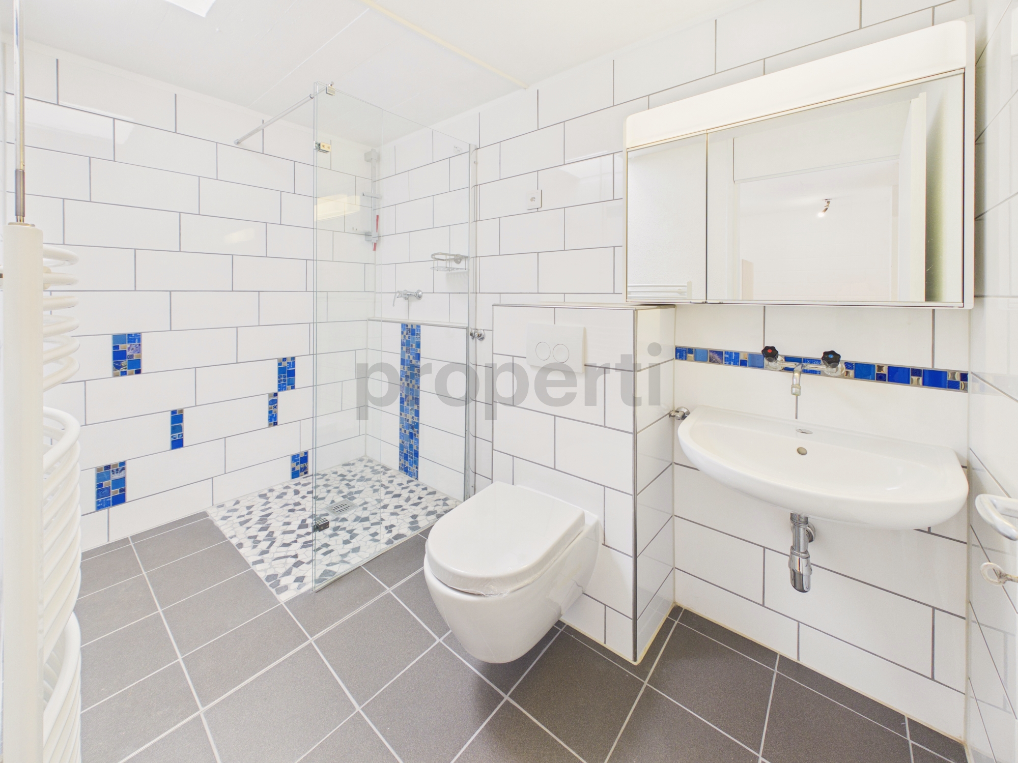 Modernes Bad mit Walk-in-Dusche und Wand-WC