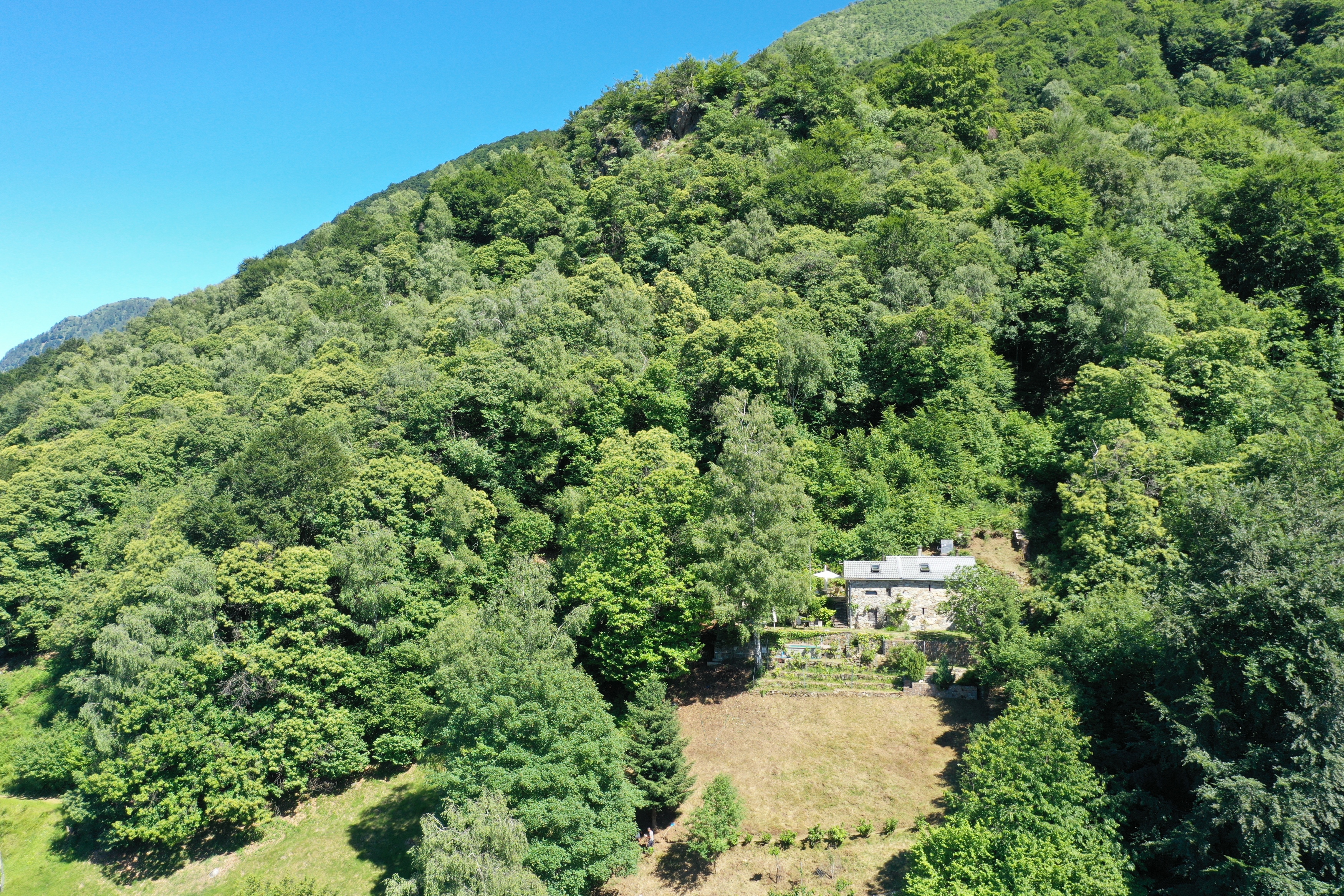 Luftaufnahme eines abgelegenen Hauses im Waldtal