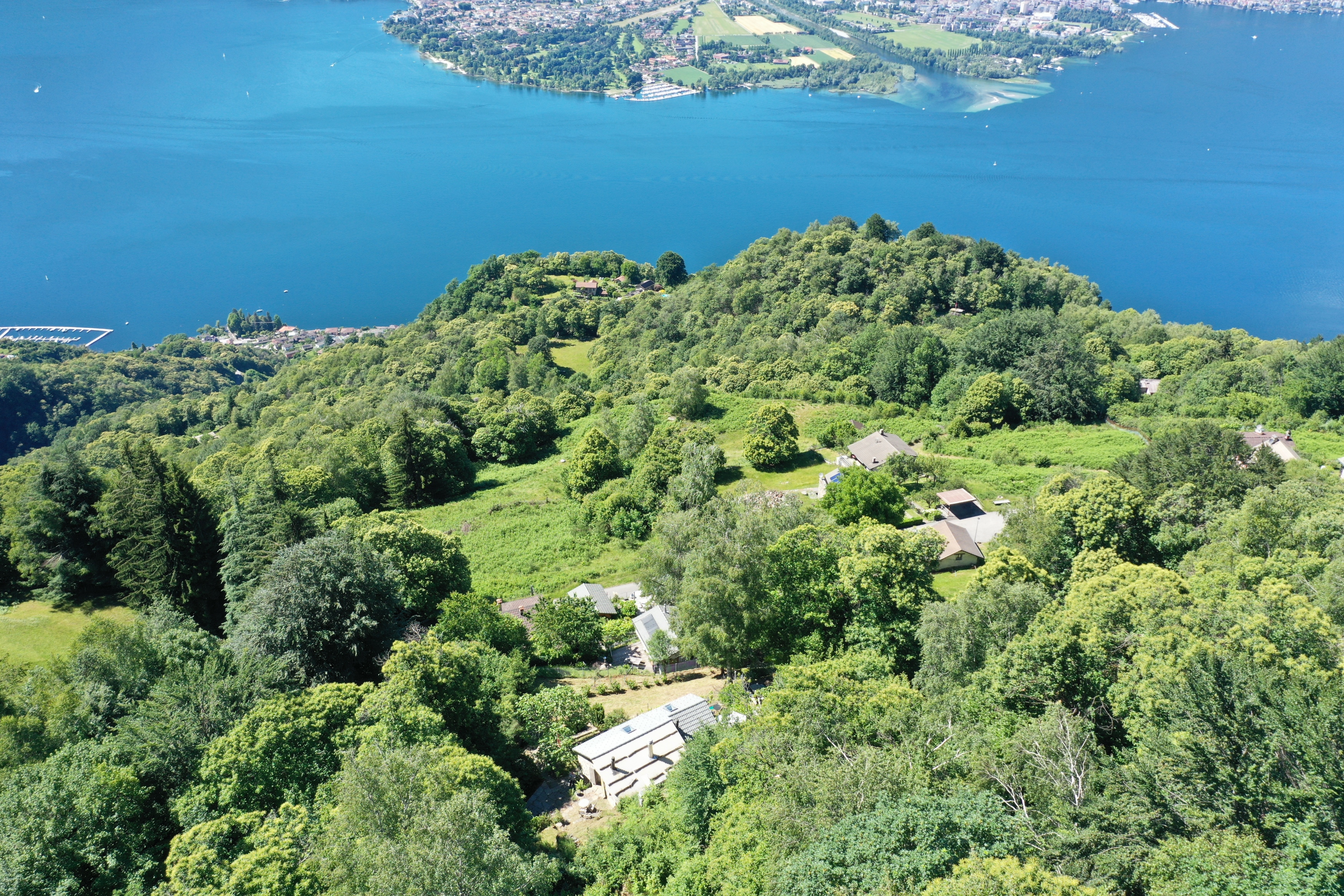 Luftaufnahme einer grünen Hügellandschaft am See