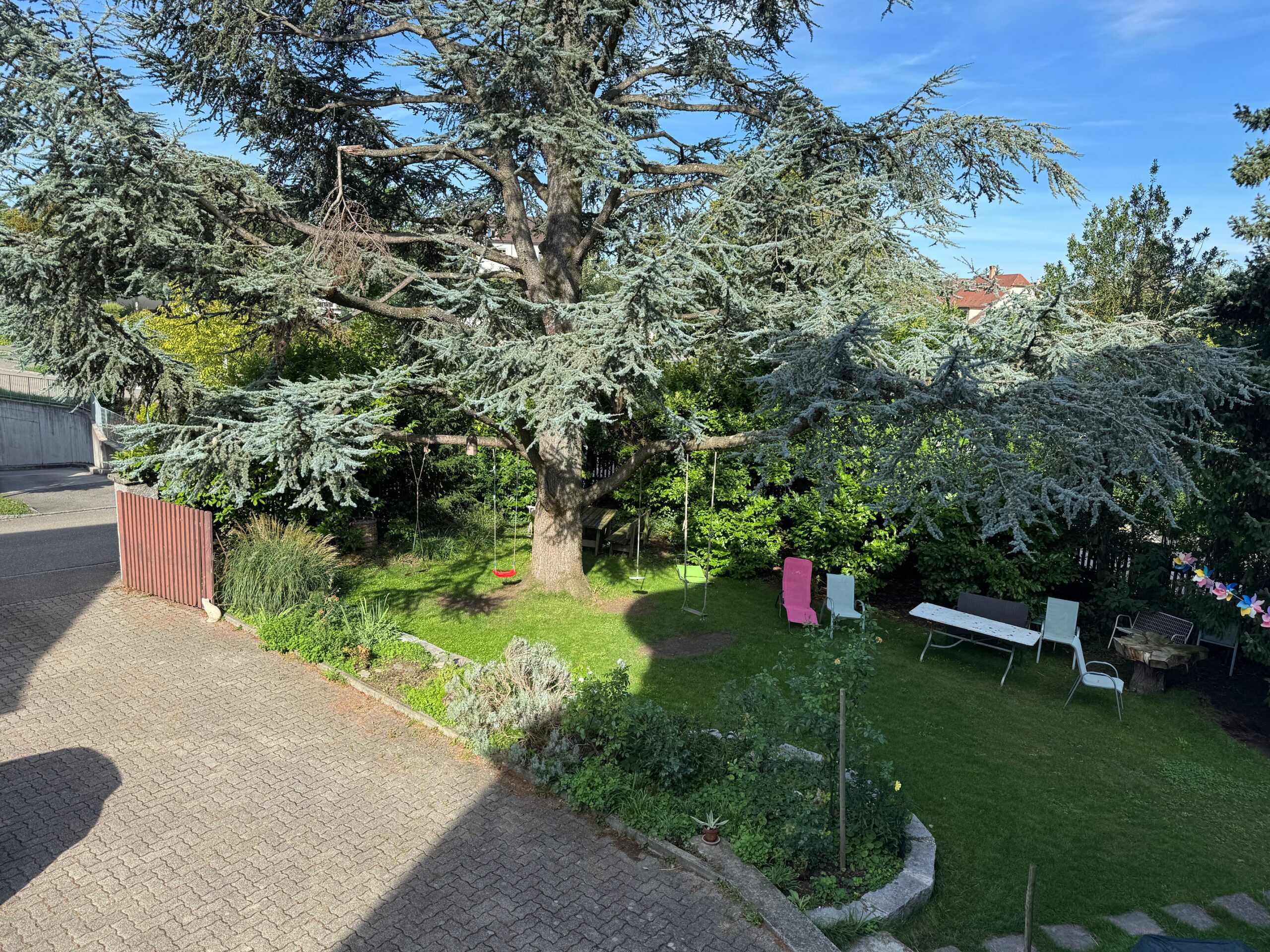Großer Garten mit altem Nadelbaum und Sitzbereich