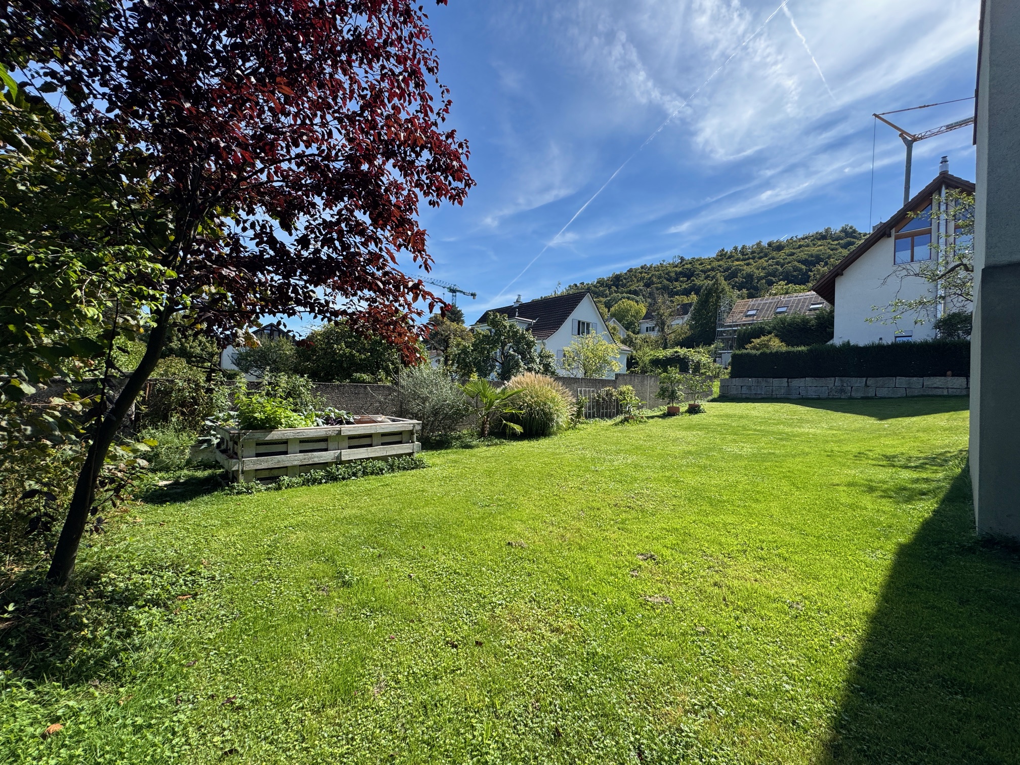 Gepflegter Garten mit Rasen und Wohnhäusern
