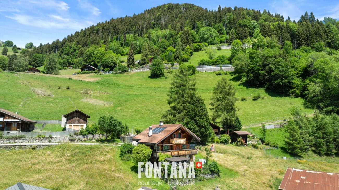 Alpines Chalet in grüner Hanglage