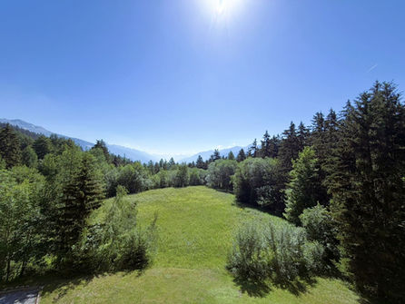 Waldlichtung mit Bergkulisse