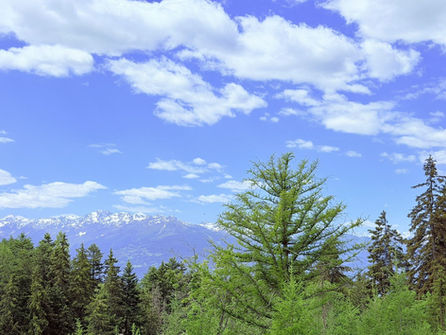 Berglandschaft mit Wald und Himmel