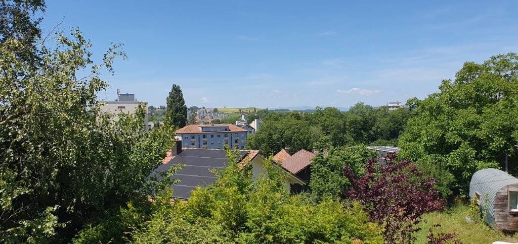 Blick über grüne Wohngegend mit Dächerlandschaft