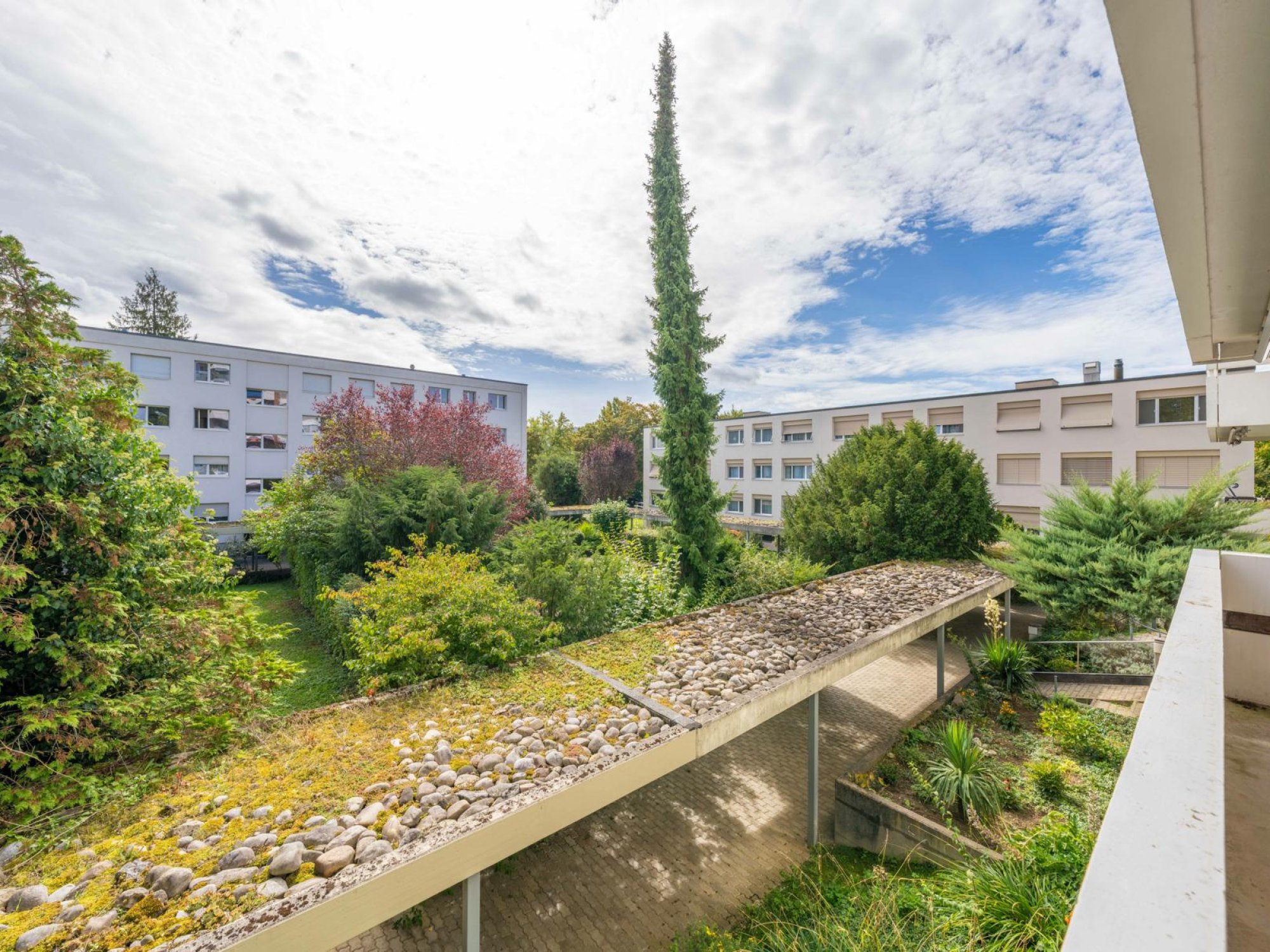 Blick auf begrünte Wohnanlage