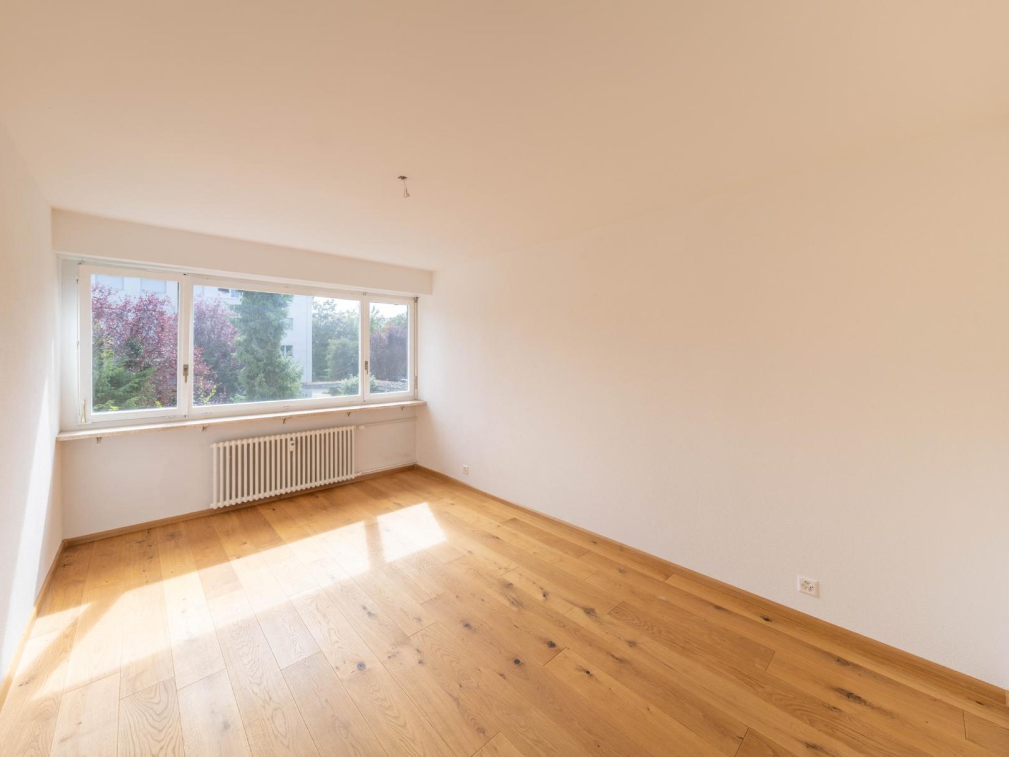 Heller leerer Wohnraum mit Fensterfront